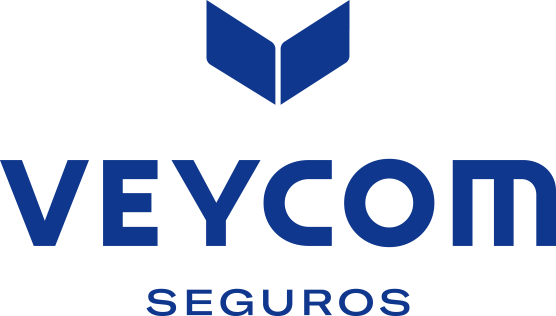 Logo VEYCOM